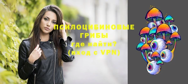 ешки Богородицк