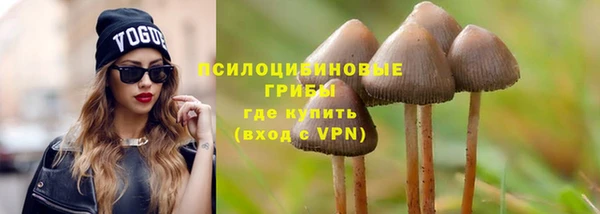 ешки Богородицк