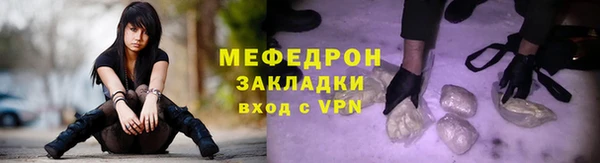 индика Вяземский
