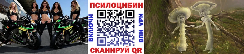 купить наркоту  даркнет телеграм  Галлюциногенные грибы GOLDEN TEACHER  Белый 